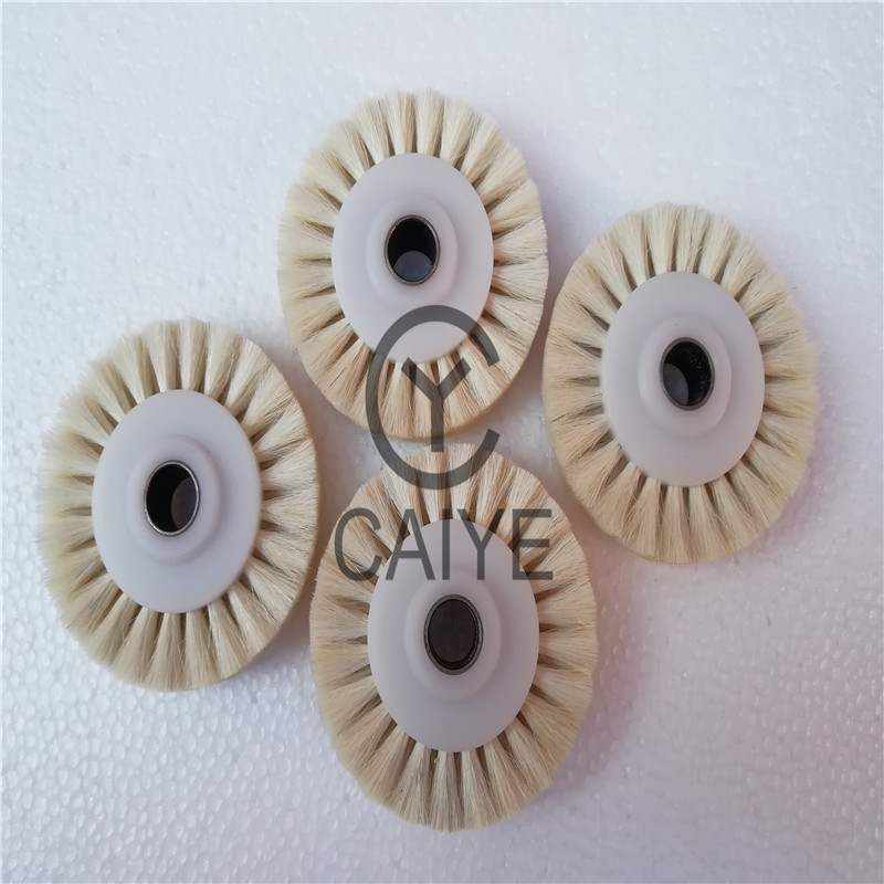 5Pieces 60x10x16mm Brush Wheel - Commercial Offset Printing review and price